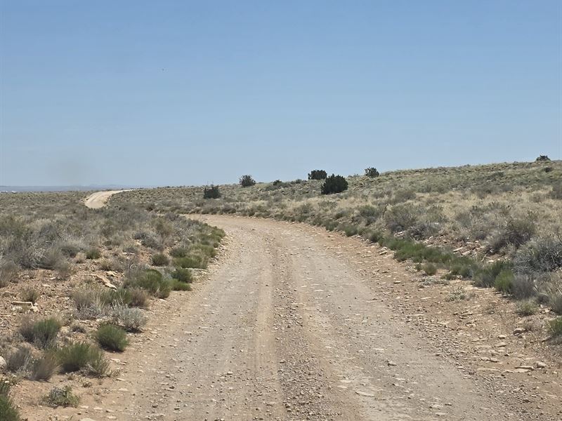 Spacious Arizona Living Starts Here : Winslow : Navajo County : Arizona