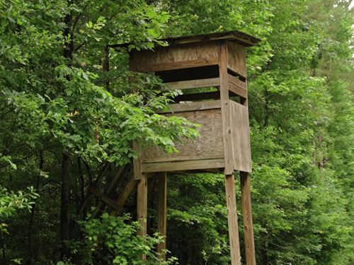 Lowenkamp Timber Haven : Hazlehurst : Copiah County : Mississippi