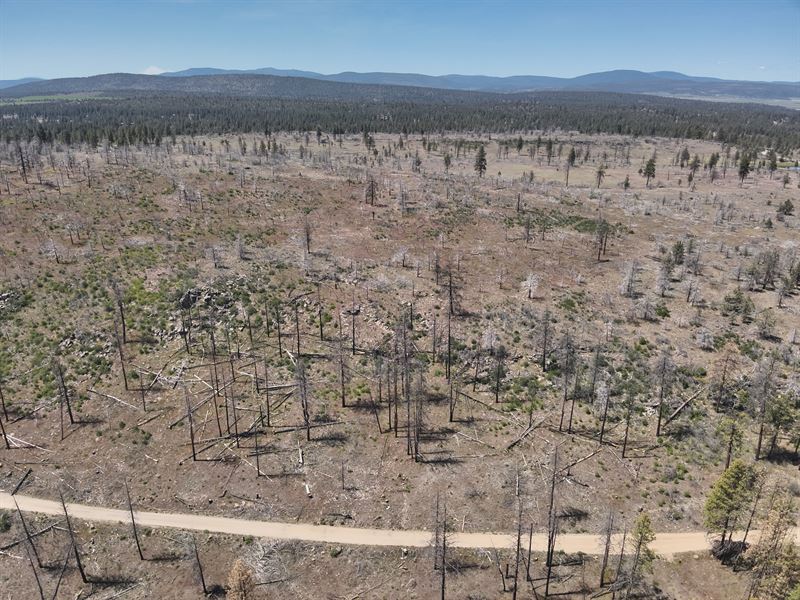 15.01 Acres in Klamath Falls Forest : Klamath Falls : Klamath County : Oregon