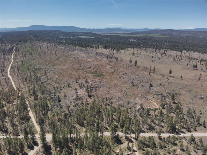 Seller Financing 2.62 Acres w Trees : Klamath Falls : Klamath County : Oregon