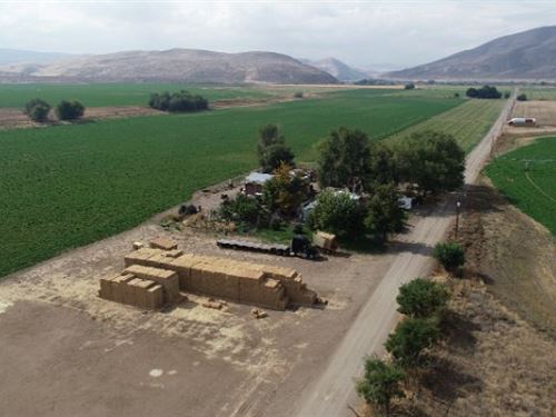 Farm with Abundant Water : Huntington : Malheur County : Oregon