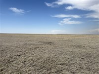 County Line Expired Crp / Pasture : Potter : Kimball County : Nebraska