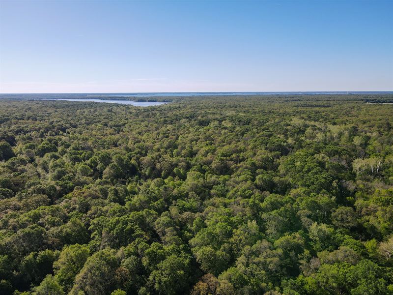 Texas Hunting & Recreational Land : Telephone : Fannin County : Texas