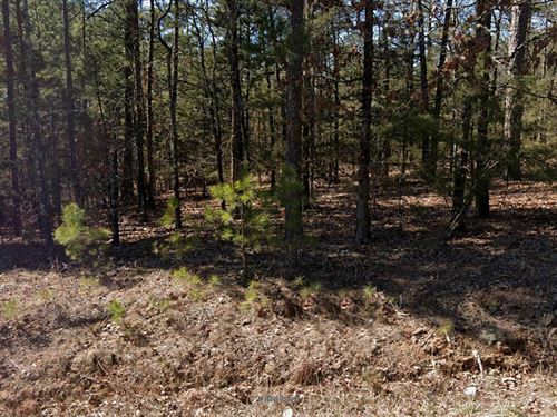 Come Embrace The Beauty 0.25 Acre : Van Buren : Arkansas