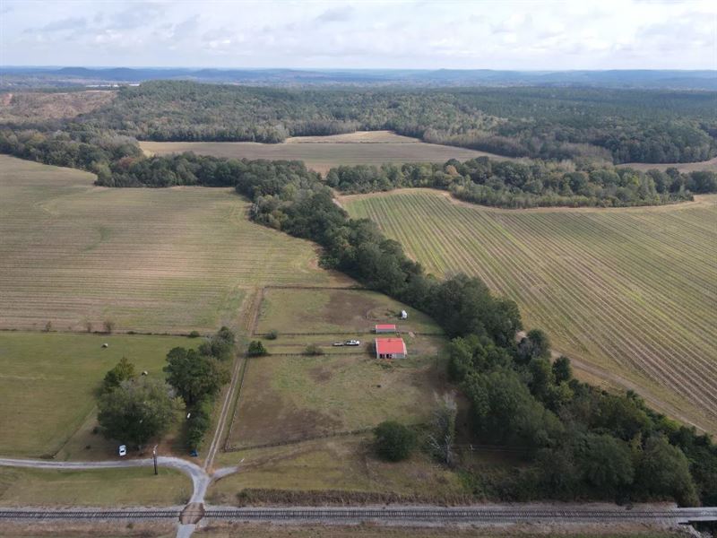 243.3 Acres in Montgomery County : Duck Hill : Montgomery County : Mississippi