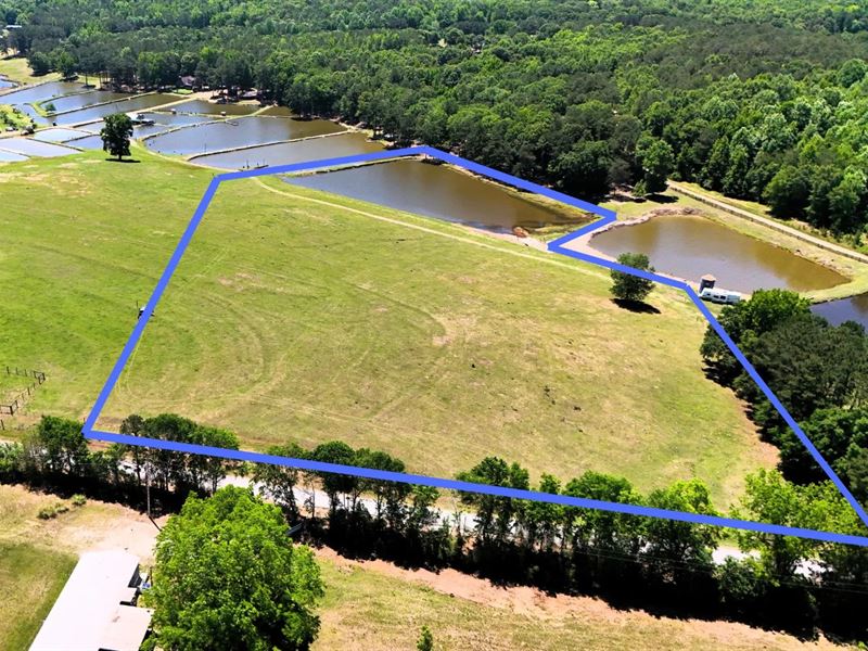 9.72 Acres in Lee County, AL : Salem : Lee County : Alabama