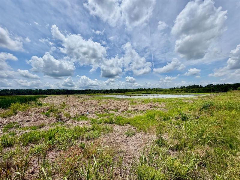 42 Acres in Leflore County in Green : Greenwood : Leflore County : Mississippi
