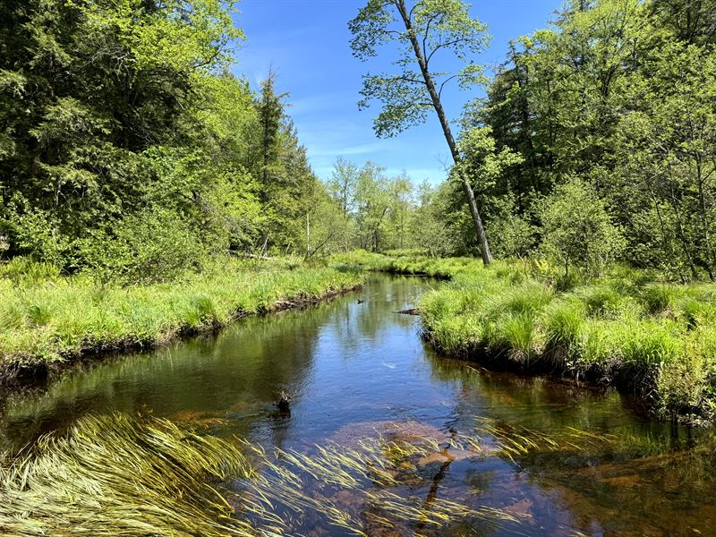 Upstate NY Camp or Camper Site : Vienna : Oneida County : New York