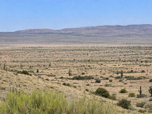 Remote Desert Investment Land : Saint Johns : Apache County : Arizona