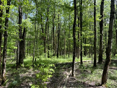 Homesite Minutes From Oneida Lake : Vienna : Oneida County : New York