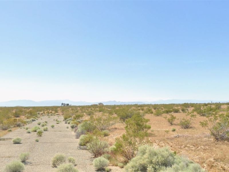 .21 Acre Lot in California City CA : California City : Kern County : California