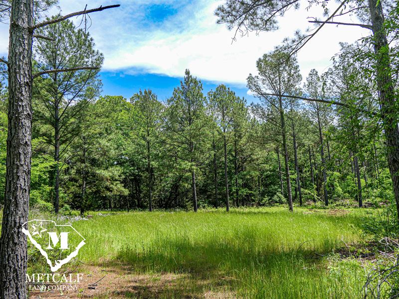35 Acre Timber Tract, Union County : Union : Union County : South Carolina