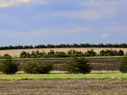 Elsassers Ringneck Reserve : Witten : Tripp County : South Dakota