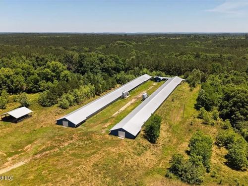 Hickory MS 2 House Breeder Poultry : Hickory : Newton County : Mississippi