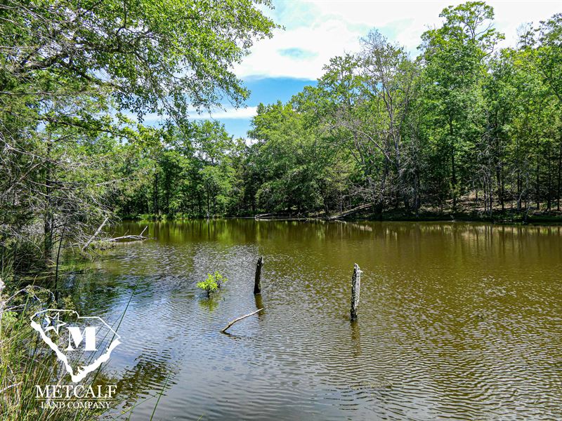 49 Acre Recreational Tract in Union : Union : Union County : South Carolina