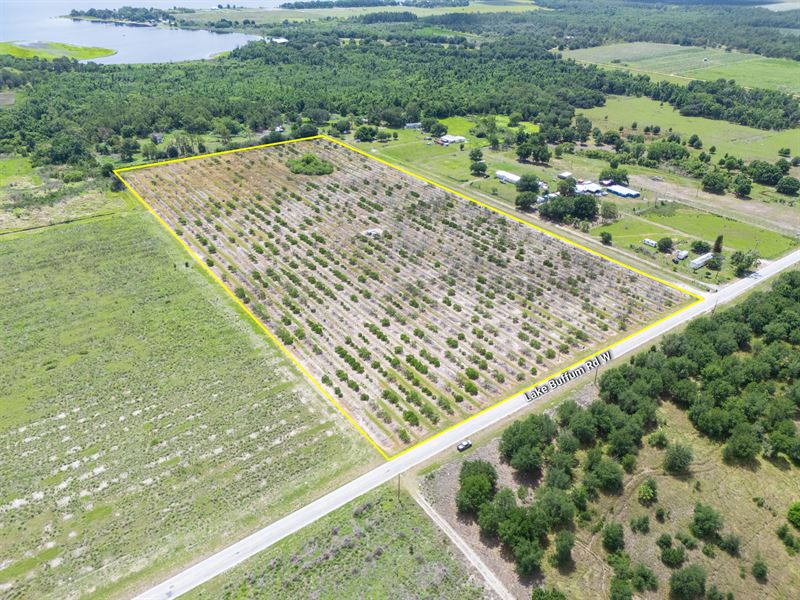West Lake Buffum Acreage : Fort Meade : Polk County : Florida