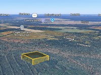 10 Ac in Florida for Only 20K : Bunnell : Flagler County : Florida