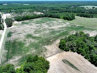 Large Farm with Residential Land : Fairmont : Robeson County : North Carolina