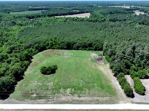 Desirable Farm Land with Acreage : Fairmont : Robeson County : North Carolina