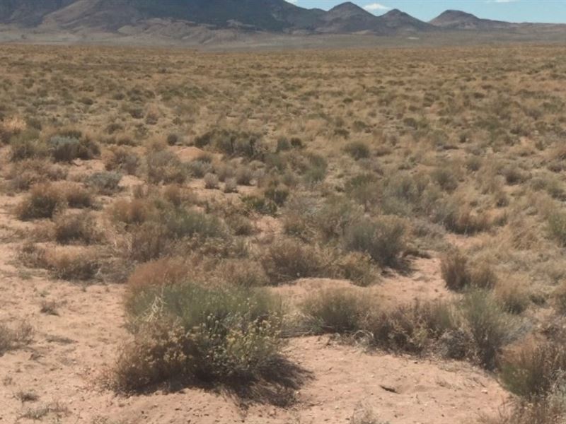 Get Land for 169/Mo : Mesita : Costilla County : Colorado