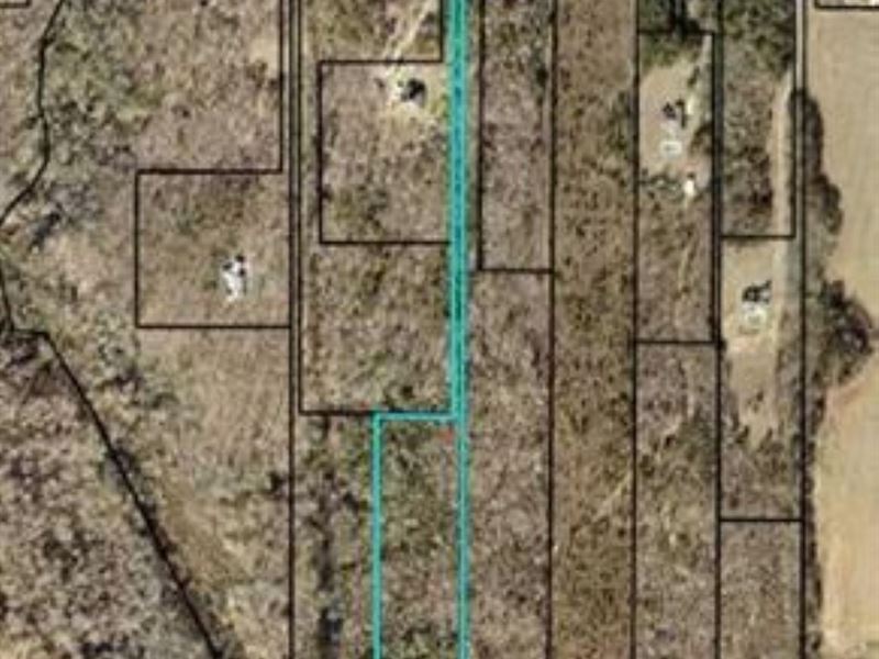 8.61 Acre Flag Lot Available : Hawkinsville : Houston County : Georgia