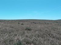 Crook / I-76 Pasture Land Auction : Sterling : Logan County : Colorado