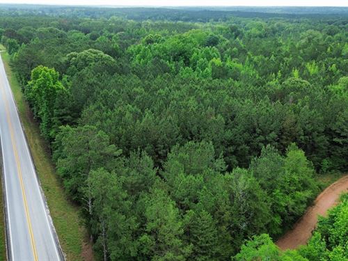15.5 Acres Chambers County, AL : Roanoke : Chambers County : Alabama