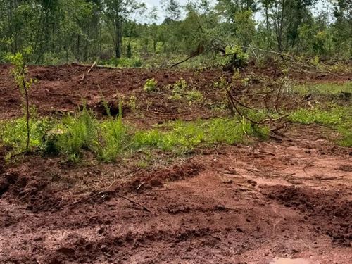 276.62 Acres Crenshaw County, AL : Luverne : Crenshaw County : Alabama