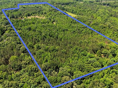 44 Acres in Macon County, AL : Fitzpatrick : Macon County : Alabama