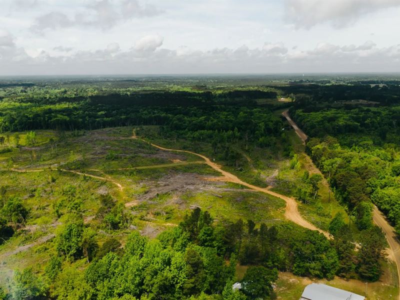 13 Acres in Winston County, MS : Preston : Winston County : Mississippi