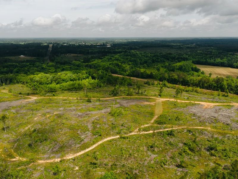 12.5 Acres in Winston County, MS : Preston : Winston County : Mississippi
