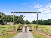 Harris Co, GA 79 Acres / Pasture : Pine Mountain : Harris County : Georgia