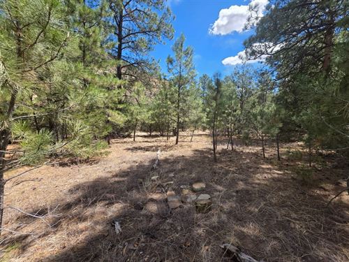 173 Timber Canyon : Trinidad : Las Animas County : Colorado