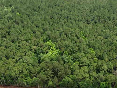 8.6 Acres in Harrison County in Sau : Saucier : Harrison County : Mississippi