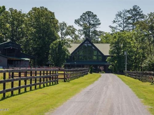 Luxury Estate on 98 Acres in Camden : Camden : Wilcox County : Alabama