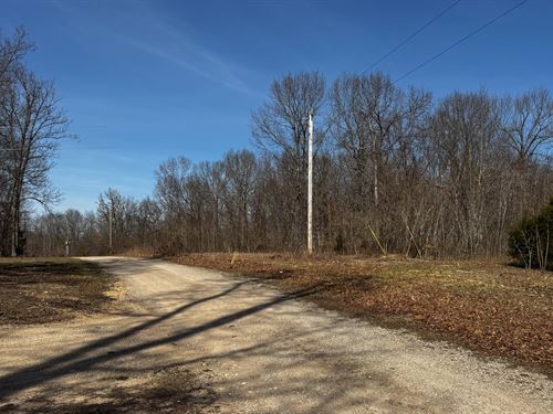 4,02 Acres in Webster County, MO : Marshfield : Webster County : Missouri