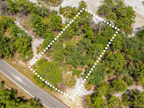 No HOA, Paved Road, Owner Financing : Ocklawaha : Marion County : Florida