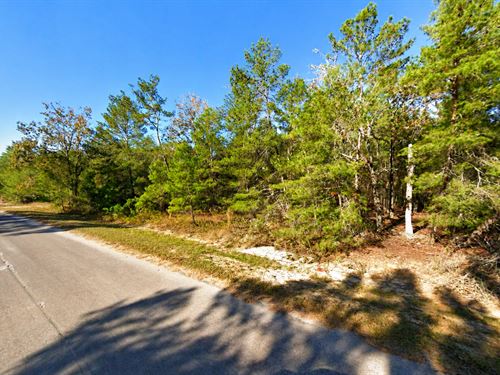 No HOA, Paved Road, Owner Financing : Ocklawaha : Marion County : Florida
