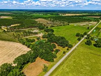 26.47 Acres, Ritch Church Road : Screven : Wayne County : Georgia