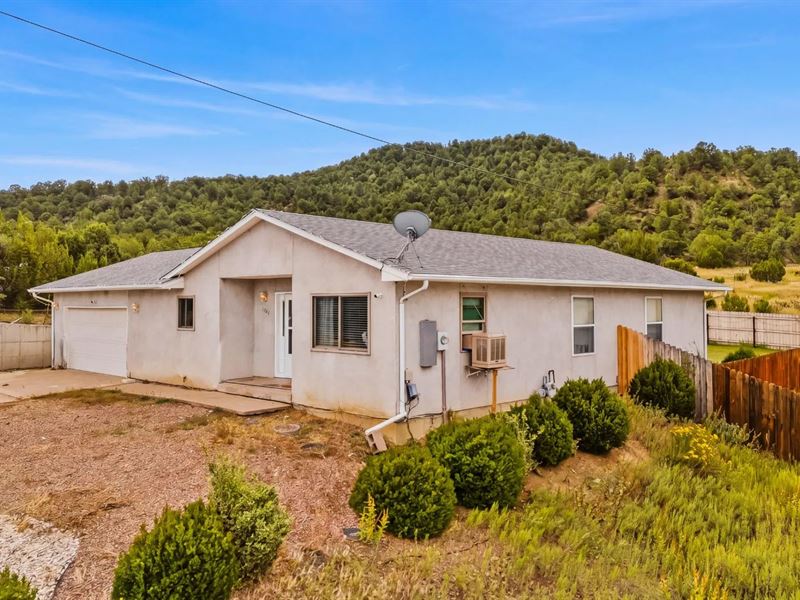1106 Alamo St, Trinidad, CO 81082 : Trinidad : Las Animas County : Colorado