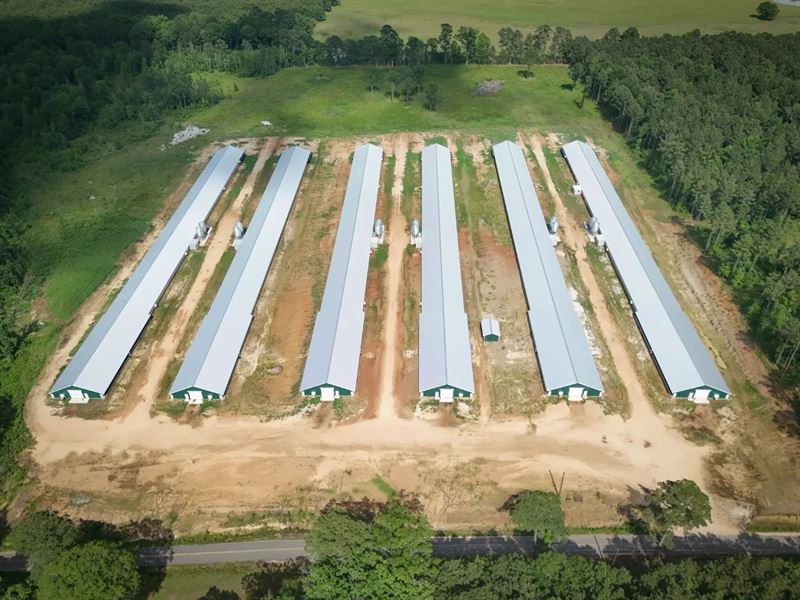 60 Acre Poultry Farm in Union Count : Strong : Union County : Arkansas