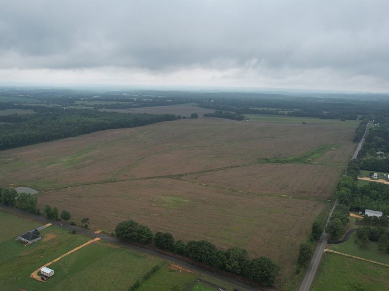 Lauderdale County Row Crop, 119.86 : Florence : Lauderdale County : Alabama