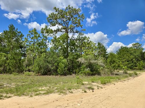 Perfect 0.14 Acre Corner Lot : Interlachen : Putnam County : Florida