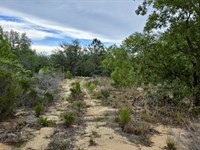 Nice Little Lot Between Lakes : Interlachen : Putnam County : Florida