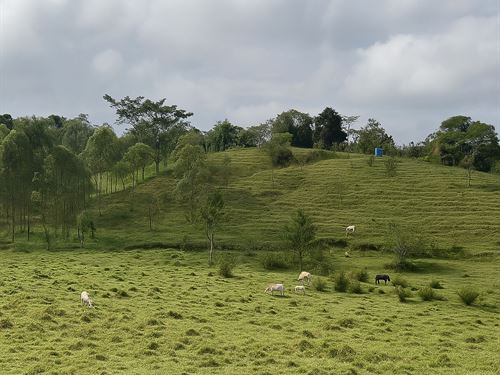 Costa Rica Water Farm 10 Acres : San Ramon : Costa Rica