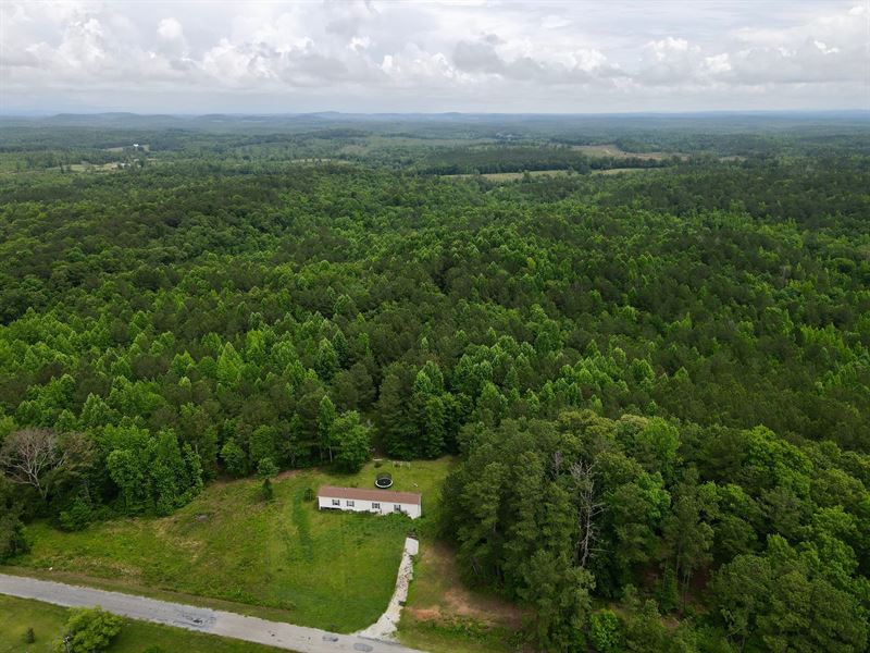 42 Wooded Acres with Dwelling : Cragford : Clay County : Alabama