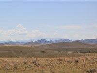 Next to Public Land, Room to Roam : Blanca : Costilla County : Colorado