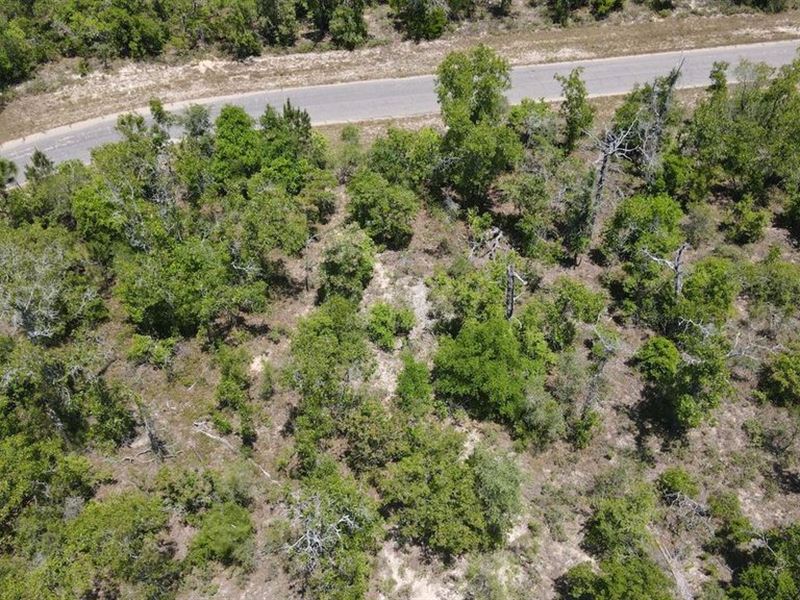 Find Your Sanctuary in Florida : Dunnellon : Washington County : Florida