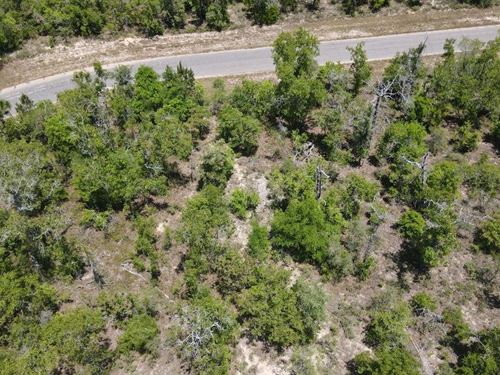 Find Your Sanctuary in Florida : Dunnellon : Washington County : Florida