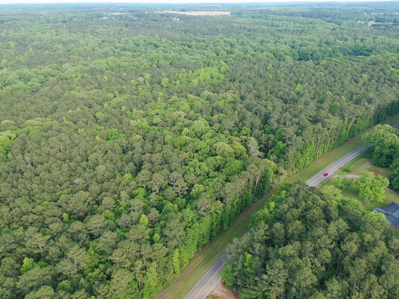 69.8 Acre Yatesville Road Tract : Barnesville : Lamar County : Georgia